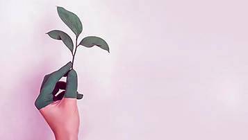 安徽2021自考考試具體的課程安排和規定