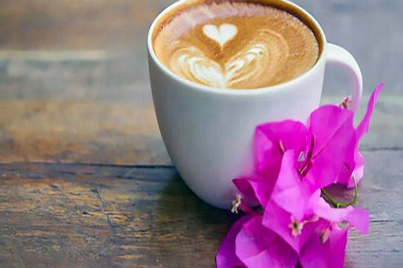 2020年福建自考考試及課程安排有哪些規定