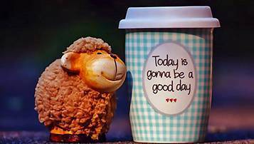 自考和成考區別在哪里 哪個更好考