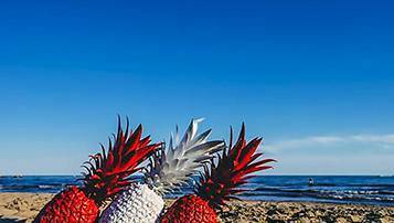 自考本科和專升本到底區別在哪里